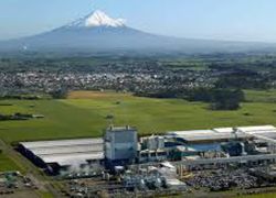 จีน-รัสเซีย แบนสินค้าประเภทนมจาก NZ