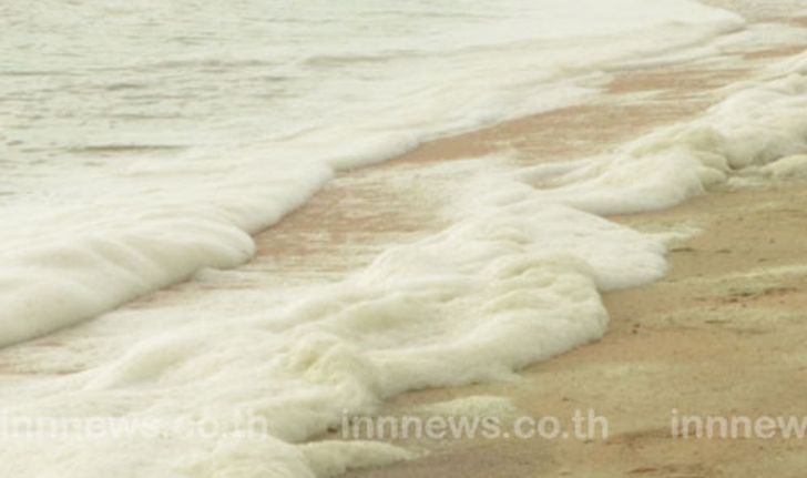 พบคราบน้ำมันชายหาดสัตหีบ ปลาตายอื้อ