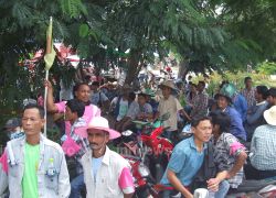 ม็อบยางตรังปิดแยกอันดามัน-สุราษฎร์ฯสมทบ