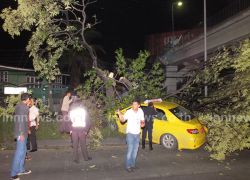 แท็กซี่หลุดโค้งปีนเกาะกลางถนนชนต้นไม้เจ็บ2