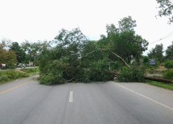 ม็อบยางจี้ตร.พิสูจน์ใครยิงบ้านประชาชน