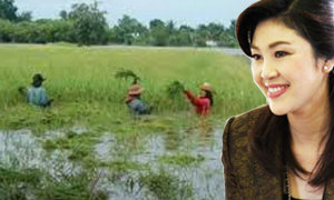 ฮือฮา! นายกฯยิ่งลักษณ์เสนอโมเดลชาวนา น้ำท่วมแนะทำประมง