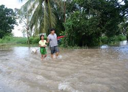 ที่ปรึกษา รมว.คค.ตรวจแม่น้ำ 3 สาย อยุธยา