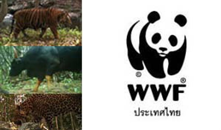 เขื่อนแม่วงก์....เหตุผลที่ต้องค้านจาก-wwf