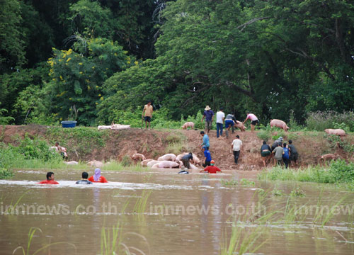 อพยพวุ่นพนังกั้นน้ำวังทองแตกท่วมบ้าน