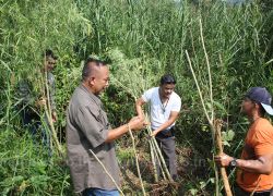 ตร.ด่านซ้ายล่อซื้อยาบ้าลูกนักการเมืองท้องถิ่น