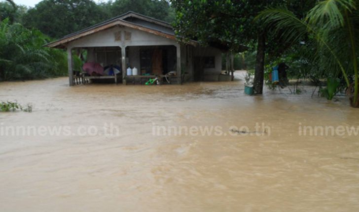 ฝนถล่มสตูล-น้ำเอ่อล้นท่วมสวนยางพารา