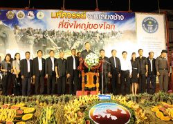 สุรินทร์ เปิดมหัศจรรย์งานช้างเมืองสุรินทร์