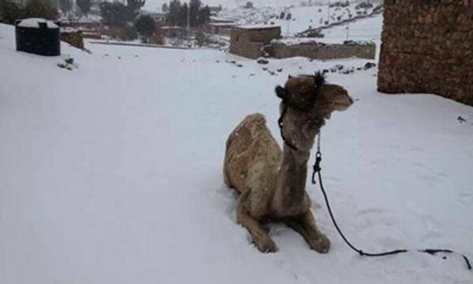 อากาศวิปริต! หิมะตกครั้งแรกที่อิยิปต์ ในรอบ 112 ปี