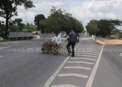 สิบล้อ ทำไม้ยางตกถนนพัทลุง - หาดใหญ่