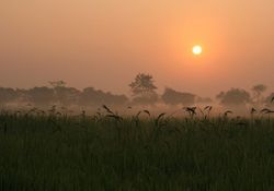 ไทยตอนบนเย็นลงอุณหภูมิลดอีก6-8องศาใต้คลื่นสูง