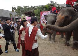 คู่สมรสไทย-เทศจดทะเบียนบนหลังช้างสุรินทร์