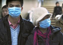 เวียดนามสั่งห้ามนำสัตว์ปีกจากแดนมังกรป้องH7N9