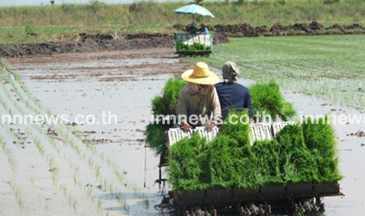 กรมชลฯเผยลุ่มเจ้าพระยามีน้ำน้อยงดทำนาปรัง