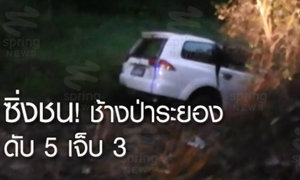 รถซิ่งชน! ช้างป่าระยองขาหัก คนดับ 5 เจ็บ 3