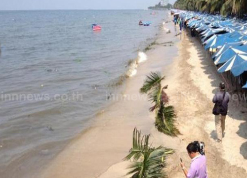 เทศบาลแสนสุขเร่งทำความสะอาดหาดบางแสน