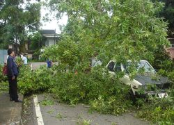 เตือนพายุอีสานฝนฟ้าคะนองอาจมีลูกเห็บตก-กทม.10%