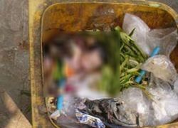 พบศพทารกถูกทิ้งในถังขยะซอยพระยามนธาตุฯ15