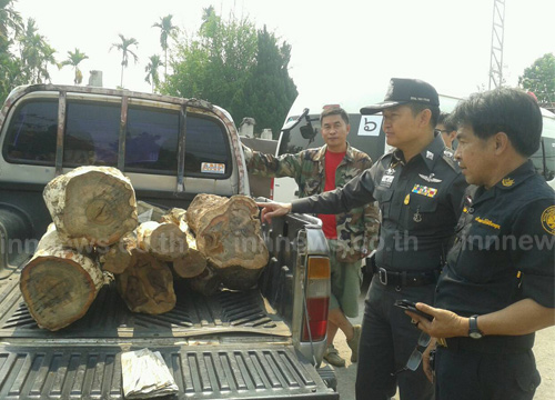 ยึดไม้พะยูงซุกริมน้ำโขงจ่อส่งขายจีน