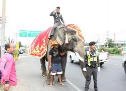 สุรินทร์ ถ.โชคชัย-เดชอุดมรถหนึบหลายกิโลฯ