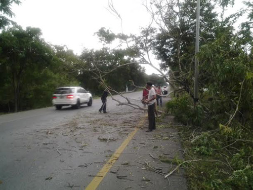 ฝกตกหนักพัดต้นไม้ล้มขวางถนนสายเอเชีย
