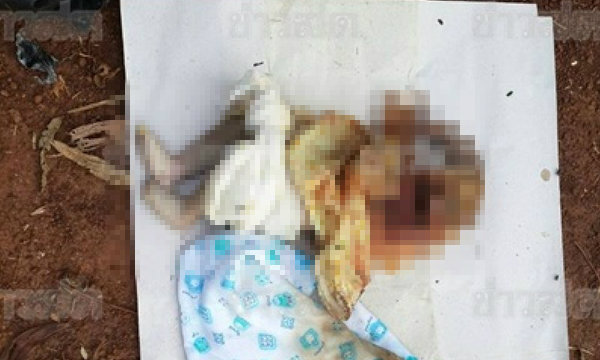พบศพทารกใส่ถุงดำ ถูกหมากัดหัวขาด แขนซ้ายหาย