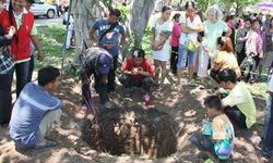 ตื่นขุดหาร่างเมีย พระยาพิชัยดาบหัก อายุกว่า 200 ปีฝังอยู่ใต้ต้นโพธิ์