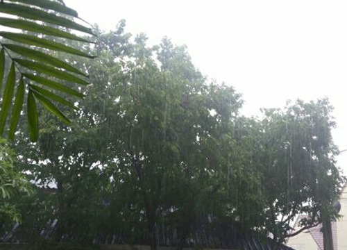 อุตุฯพยากรณ์อากาศเที่ยงวันพายุฝนเริ่มลดลง