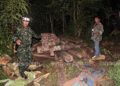 ตำรวจ-ทหาร ยึดไม้ชิงชันกว่า100ท่อนซุกป่าละเมาะ