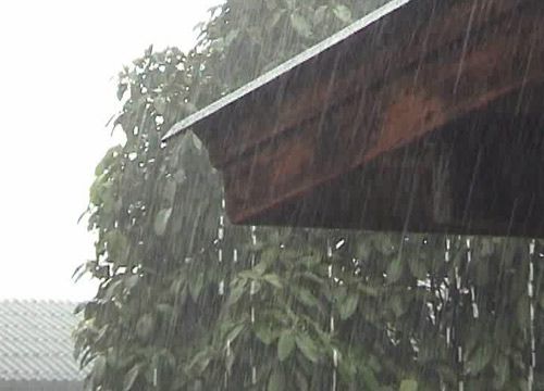 อุตุฯเผยไทยมีฝนเป็นแห่งๆ -กทม. ตก 40% ฟ้าคะนอง