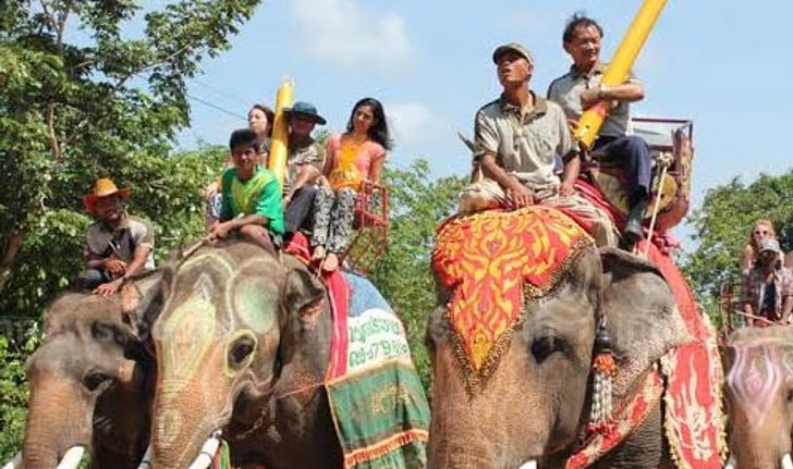 ช้าง165เชือกแห่เทียนพรรษาถวายพระสงฆ์