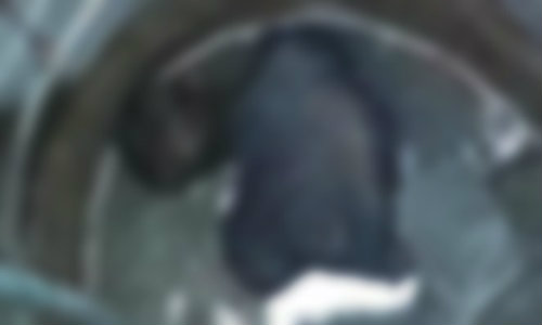 เศร้าใจ! ลูกกลับมาเยี่ยมพ่อ เจอเป็นศพที่บ่อหลังบ้าน