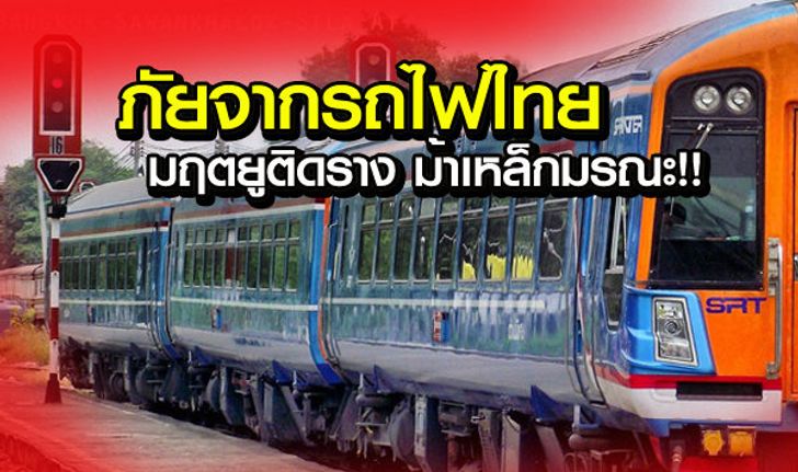 มฤตยูติดราง ม้าเหล็กมรณะ ภัยจากรถไฟไทย