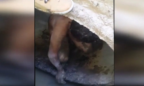 อะไรทำให้ ชาวบ้านแตกตื่นเสียงโหยหวนจากท่อระบาย?