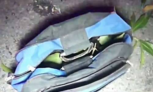 สาวปีนขโมยมะม่วงตกใจเจ้าหน้าที่ขับผ่าน พลัดตกคอหัก