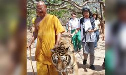 ผ่าตัด "หลวงตาจันทร์" ถูกเสือตะปบแล้ว อาการปลอดภัย คาดร้อนจัดเสือหงุดหงิด ไปตปท.จำไม่ได้