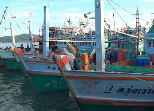 เรือหยุดหาปลากระทบผู้ค้าอาหารทะเลสงขลา