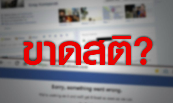 การวิพากษ์วิจารณ์ที่ขาดสติ....?