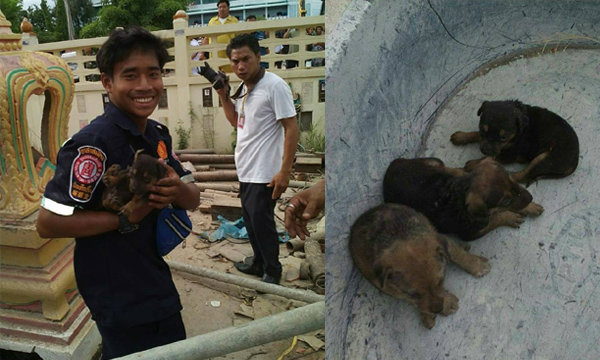 ใจหล่อมาก! หนุ่มกู้ภัยเป็นใบ้หูหนวก ช่วยลูกสุนัขจากซากโบสถ์ถล่ม