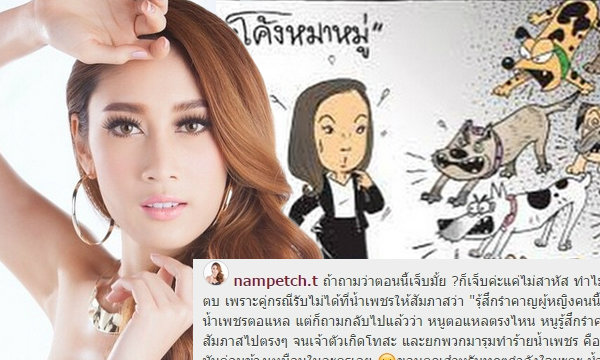 น้ำเพชร โพสต์ภาพ "หมาหมู่" บอกถูกไฮโซรุมตบ 3 ต่อ 1