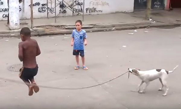 คนทั้งโลก..เอ็นดู คลิปสุนัขคาบเชือกแกว่งให้เด็กๆ โดดเล่นสนุก
