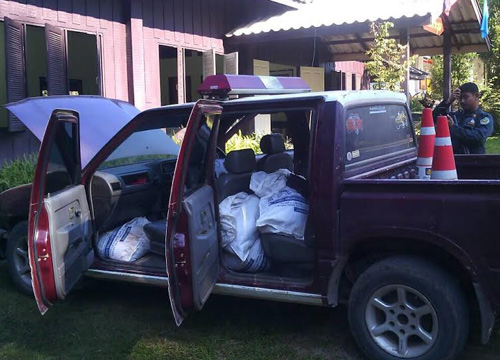 รวบตร.พร้อมสมุนล่าตัดหัวกระทิงภูเขียว