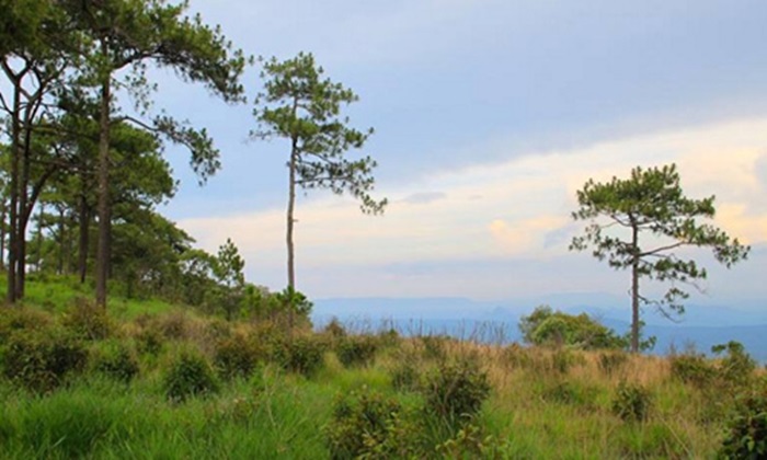 นนท.หมดสติ ขณะเดินขึ้นภูกระดึง แพทย์เร่งช่วย