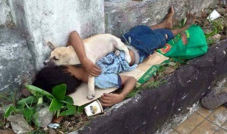 ชาวเน็ตแชร์ภาพความรักเด็กน้อยขอทานกับสุนัขผู้ซื้อสัตย์