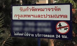 ดราม่าสนั่น! ขึ้นป้าย "รับกำจัดหมาจรจัด 24 ชั่วโมง" แถมไม่คิดเงิน