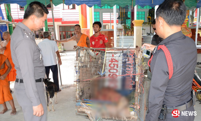 ผัวลากศพเมียใส่รถพ่วง วอนพระทำพิธีเผาศพ พลั้งมือทำร้ายถึงตาย