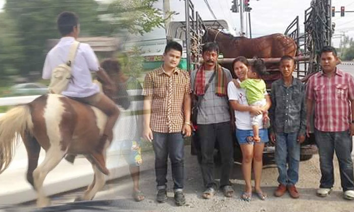 ดีจริงๆ คนใจดีสานฝัน "น้องจีฟ" สุดสาคร 2016 มอบม้าให้ขี่