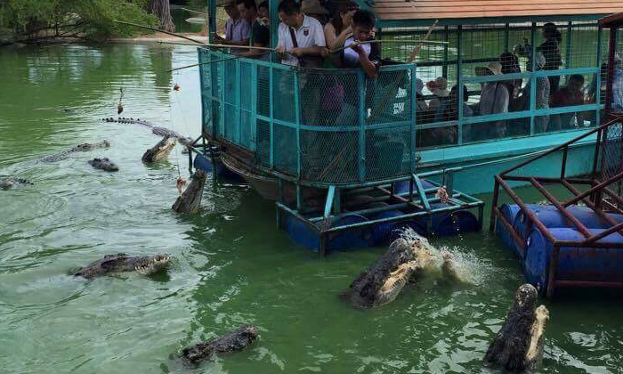 เจ้าของกิจการล่องแพตกจระเข้ ยืนยันปลอดภัย เปิดมานับ 10 ปี