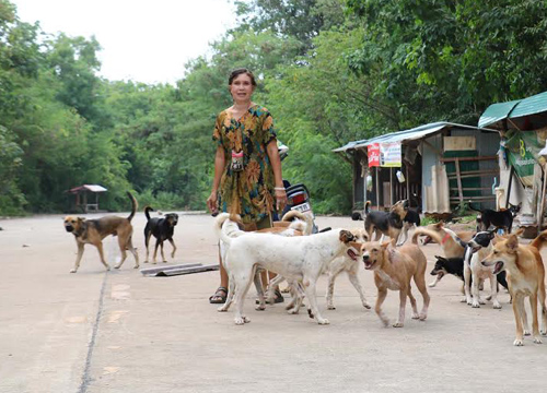 ป้าใจบุญหาดใหญ่เลี้ยงดูสุนัขจรจัดกว่า100ตัว