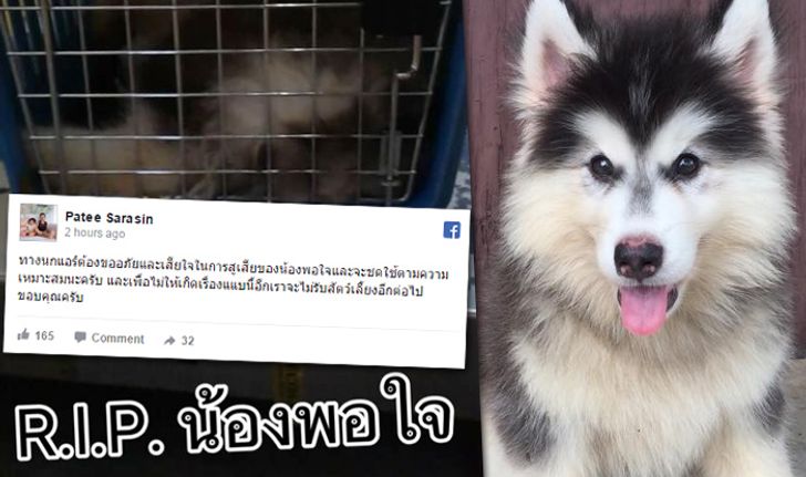 "นกแอร์" ขอโทษ-ประกาศไม่รับขนส่งสัตว์ หลังมีสุนัขตาย